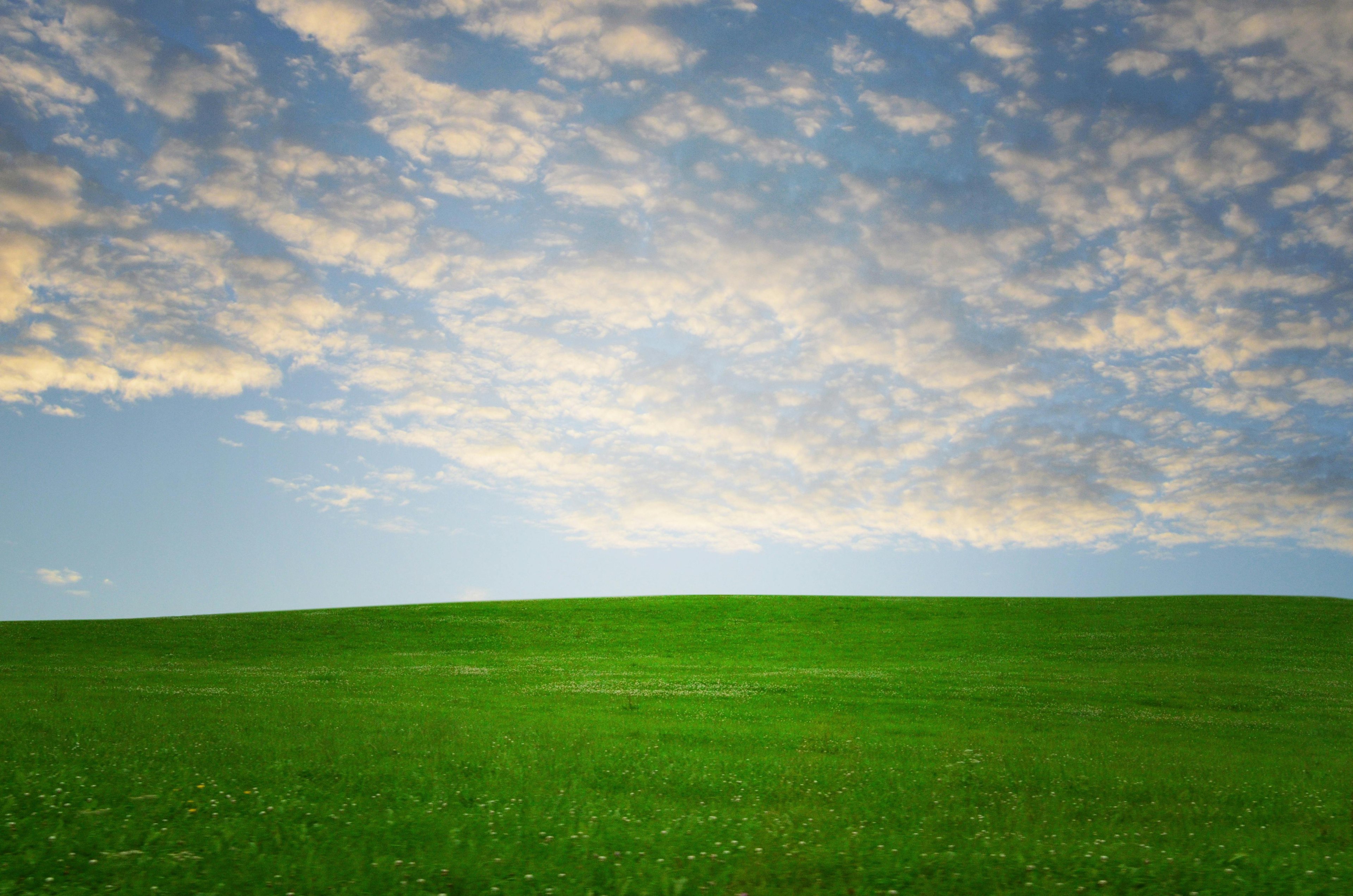 An open meadow under a wide sky at evening